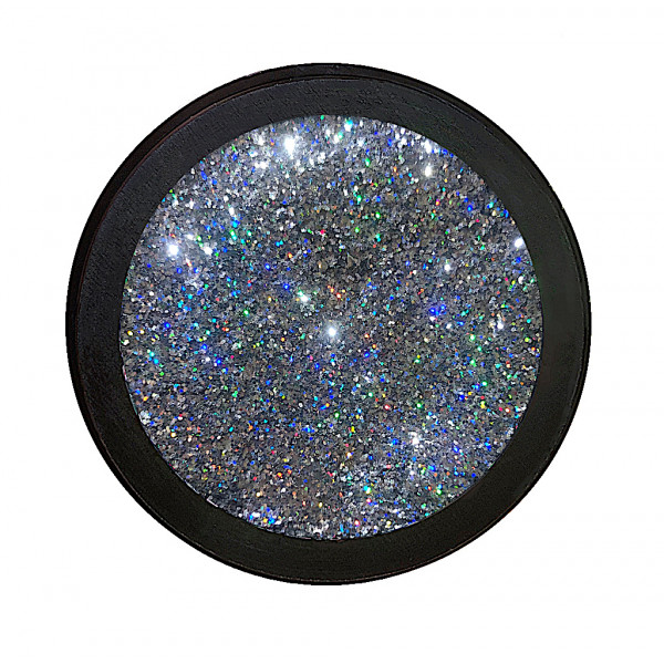 Glitter Holographic Karin van Vliet